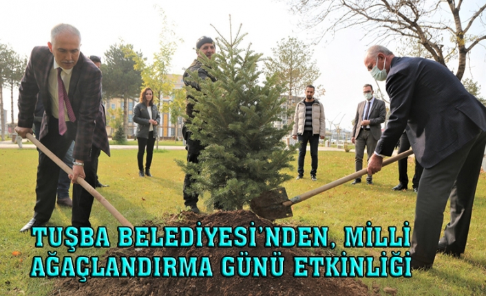 Akman: Tuşba'da ağaçlandırma çalışmaları hız kazandı