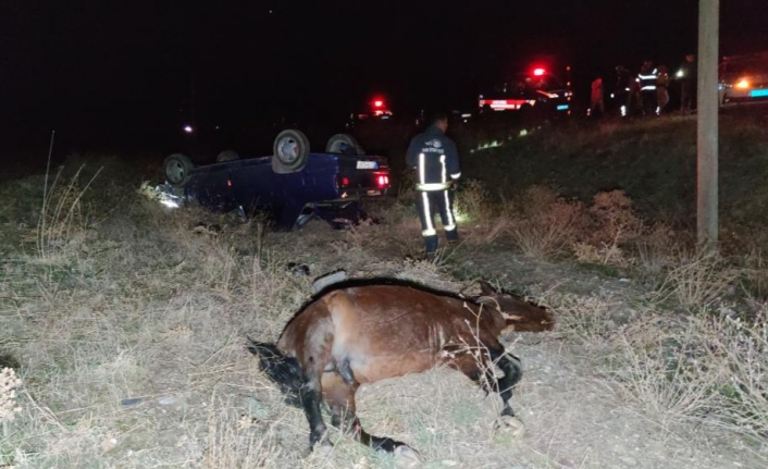 Başıboş ata çarpan otomobil takla attı: 1 ölü, 6 yaralı