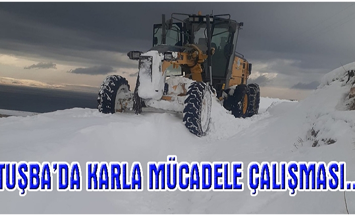 Tuşba Belediyesi, karla mücadele çalışmalarını sürdürüyor
