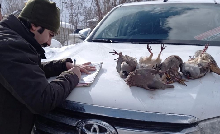 Kaçak keklik avcıları Van DKMP ekiplerine yakalandı
