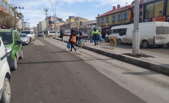 Özalp'ta sokak hayvanları için beslenme etkinliği