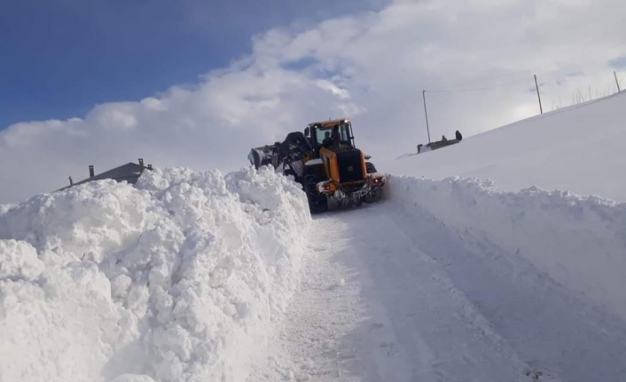 Çaldıran Belediyesi'nden karla mücadele çalışması