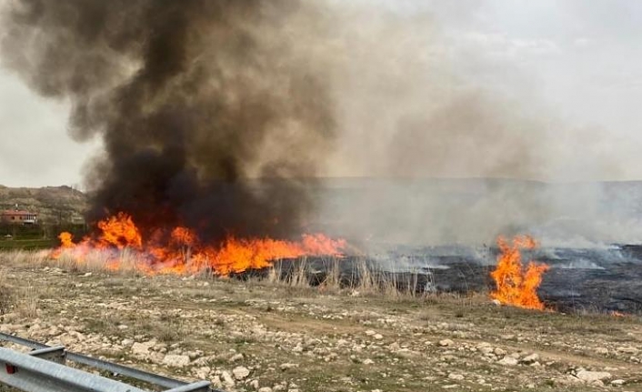 Edremit'te sazlık yangını