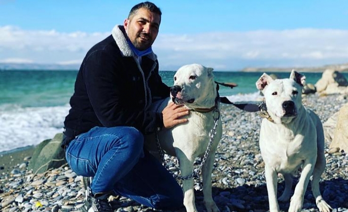 Van’da çalınan Dogo Argentino ırkı köpekler ölü bulundu