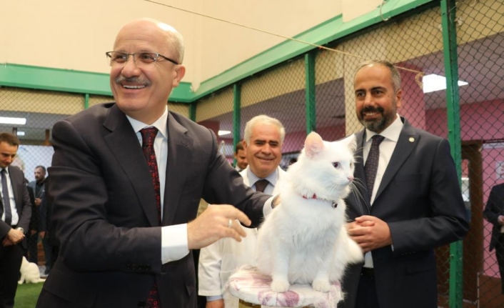 YÖK Başkanı Prof. Dr. Özvar Van kedilerini sevdi