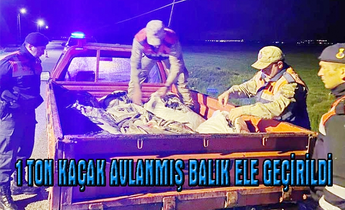Muradiye'de kaçak avlanmış 1 ton balık ele geçirildi