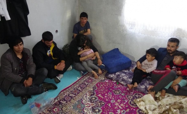 Van’da 12 düzensiz göçmen yakalandı