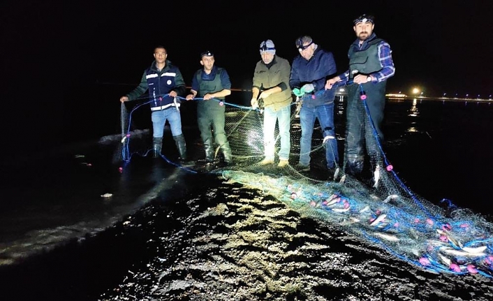 Kurtarılan 240 kilogram canlı balık suya bırakıldı