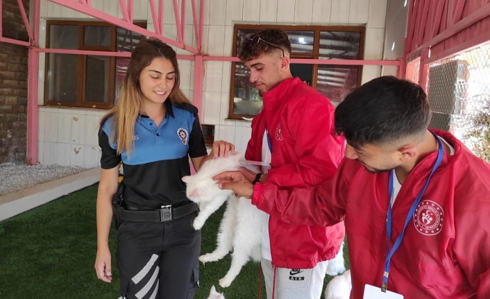 Ardahanlı öğrenciler Van Kedi Villası’nı gezdi