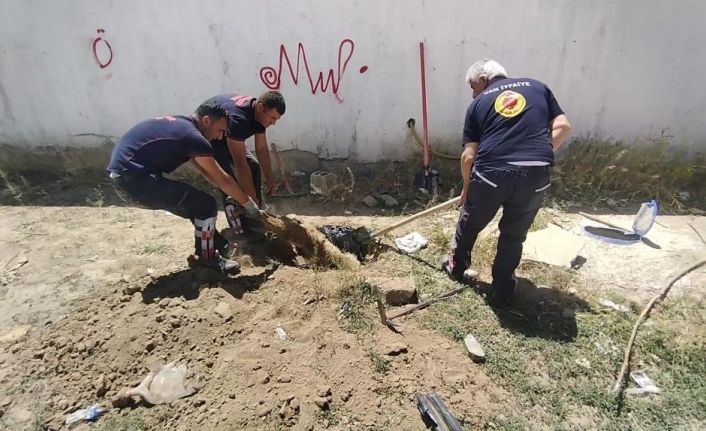 Muradiye’de sulama kanalına düşen köpek kurtarıldı