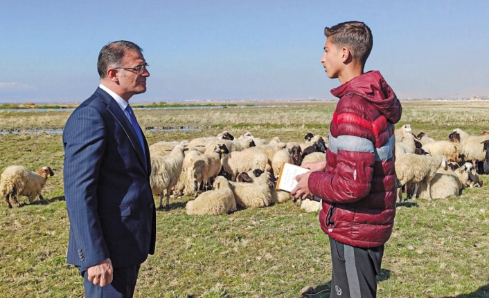 Vali Balcı: Meraları koyunlarla dolduracağız