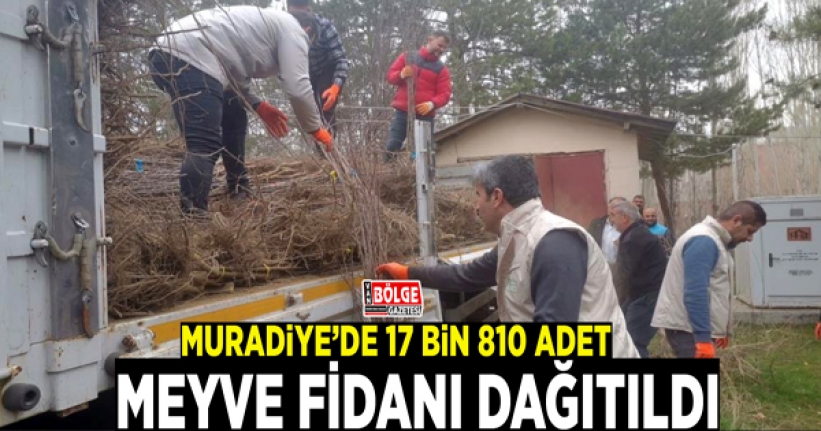 Muradiye’de 17 bin 810 adet meyve fidanı dağıtıldı