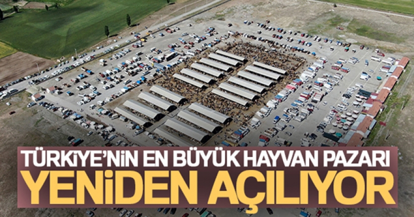 Türkiye'nin en büyük hayvan pazarı yeniden açılıyor