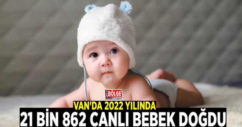 Van'da 2022 yılında 21 bin 862 canlı bebek doğdu