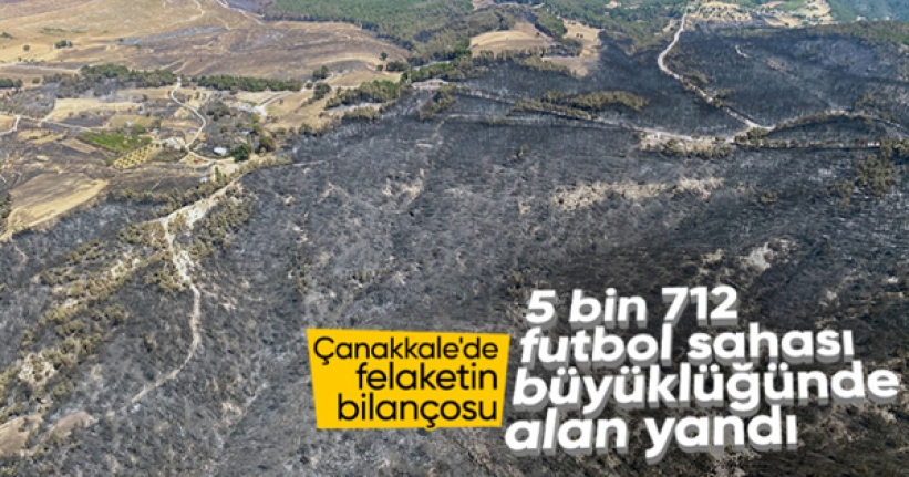 Çanakkale'de yangın kontrol altına alındı! 4 bin 80 hektar alan kül oldu