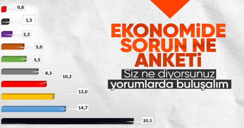 ASAL Araştırma'dan 'Türkiye ekonomisinin en önemli sorunu nedir' anketi