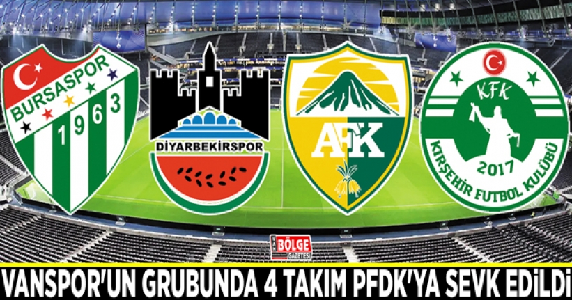 Vanspor'un grubunda 4 takım PFDK'ya sevk edildi