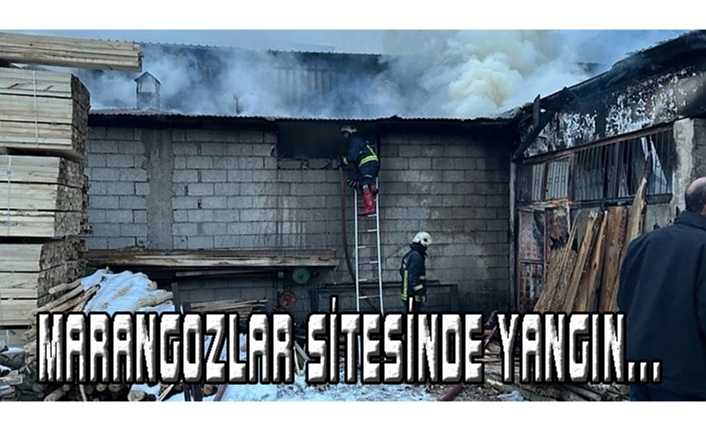 Tuşba'daki marangozlar sitesinde yangın çıktı