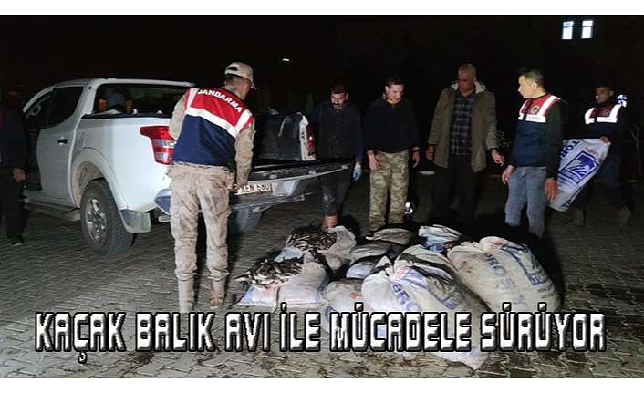 Muradiye'de kaçak avlanmış 1 ton 800 kilo balık ele geçirildi