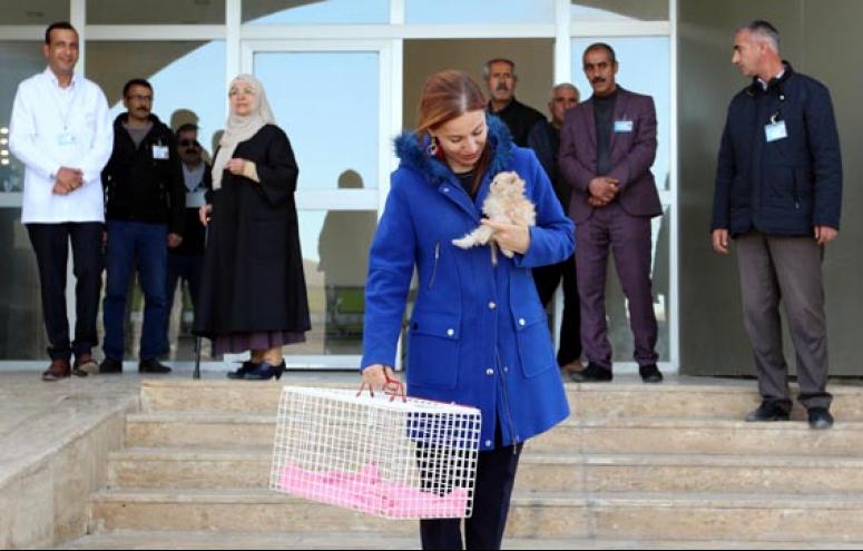 Sevcan Zorluoğlu'ndan hayvan bakım evine ziyaret…