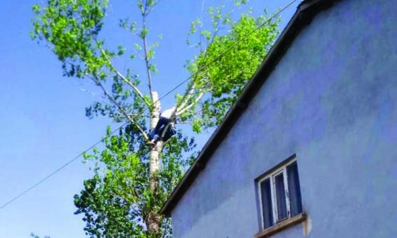 Kestiği ağaçta mahsur kalan vatandaşı itfaiye kurtardı 