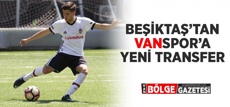 Vanspor'a, Beşiktaş alt yapısından transfer…