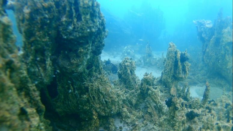 Vangölü'nün derinliklerindeki kalıntılar gün yüzüne çıkıyor