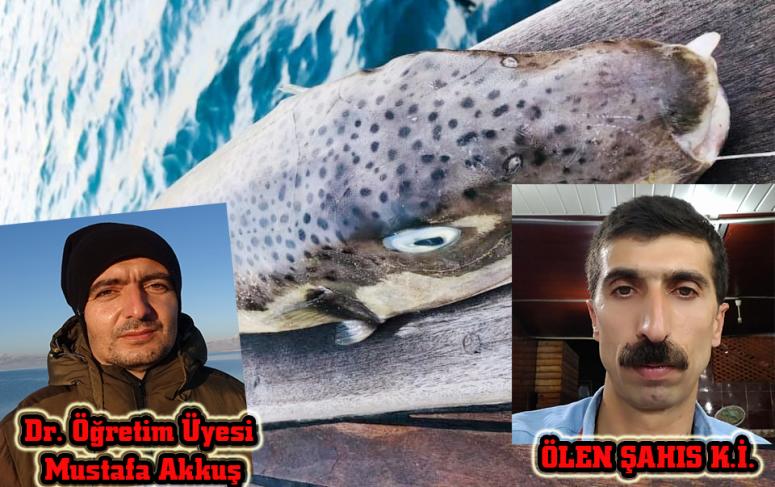 Akkuş: Öldüren balon balığı Akdeniz'den Van'a gelmiş
