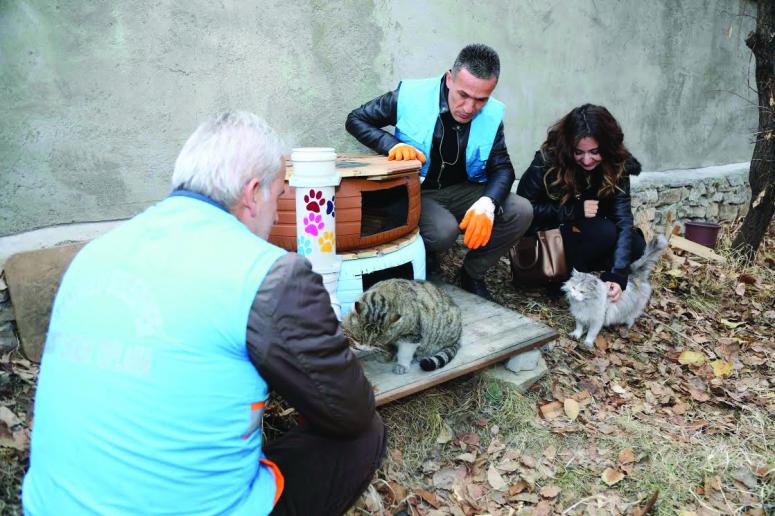 İpekyolu Belediyesi'nden sokak hayvanları için 20 barınak…