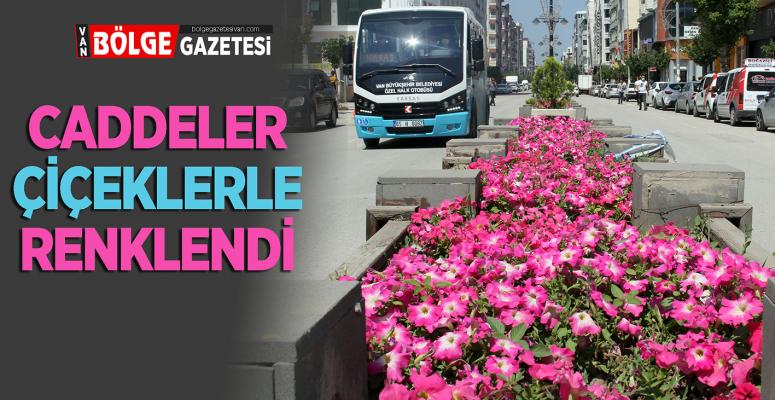 Büyükşehir'in yetiştirdiği çiçekler şehre renk katıyor