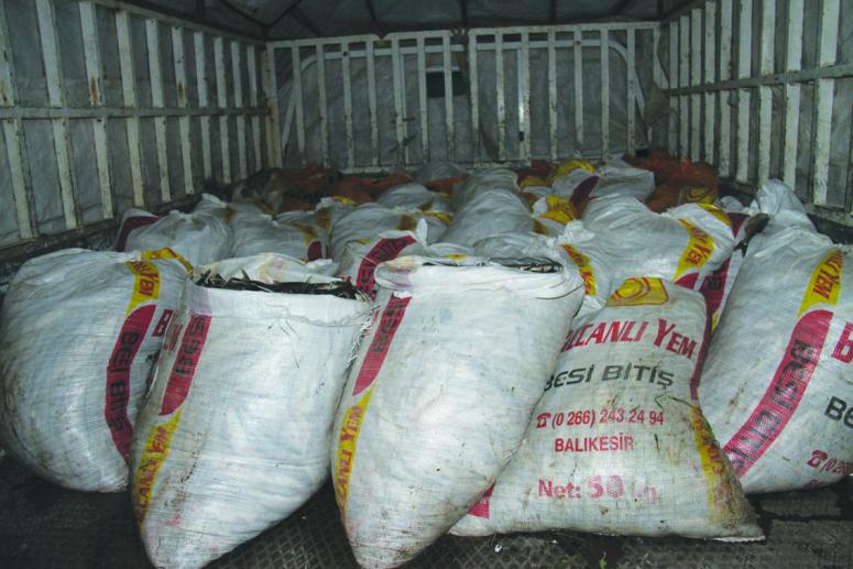 Muradiye ilçesinde 4 ton kaçak avlanmış inci kefali ele geçirildi 