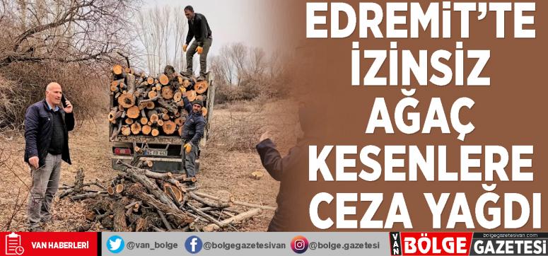 Edremit'te izinsiz ağaç kesenlere ceza yağdı
