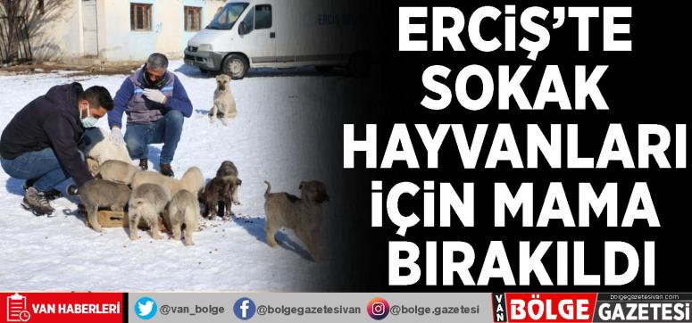 Erciş'te sokak hayvanları için mama bırakıldı