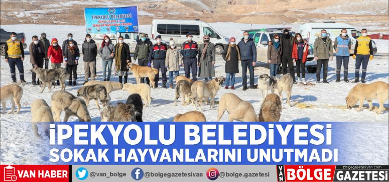 İpekyolu Belediyesi sokak hayvanlarını unutmadı