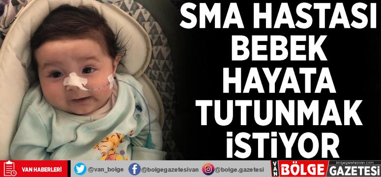 SMA hastası bebek hayata tutunmak istiyor