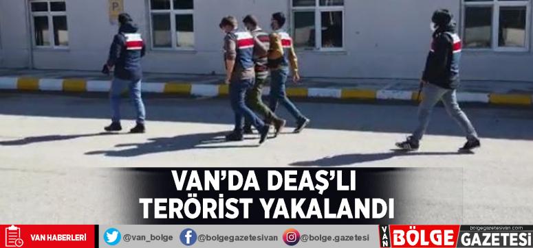 Van'da DEAŞ'lı terörist yakalandı