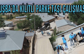 Tuşba’daki mahallelerde kilitli parke taşı çalışmaları…
