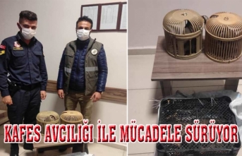 Erciş'te kaçak avlanmış 5 kınalı keklik ele geçirildi