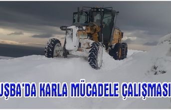 Tuşba Belediyesi, karla mücadele çalışmalarını sürdürüyor