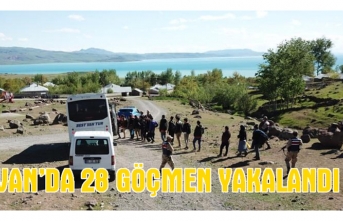 Muradiye kırsalında 28 göçmen yakalandı
