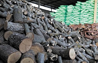 Van'da kömür ve odun fiyatları cep yakacak