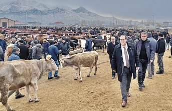 Kandaşoğlu: Hayvan pazarı Van'a yakışmıyor