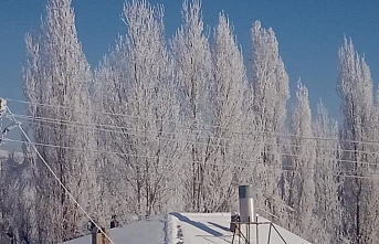 Özalp’ta Sibirya soğukları hayatı olumsuz etkiliyor