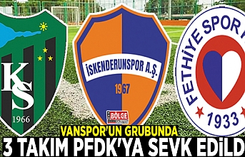 Vanspor'un grubunda 3 takım PFDK'ya sevk edildi
