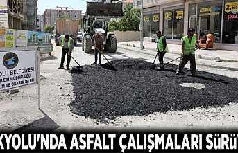 İpekyolu'nda asfalt çalışmaları sürüyor