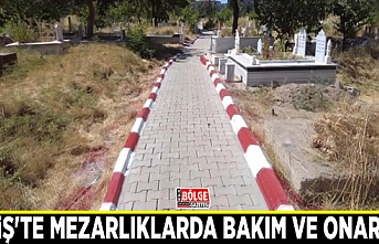 Erciş'te mezarlıklarda bakım ve onarım...