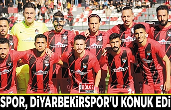 Vanspor, Diyarbekirspor'u konuk ediyor
