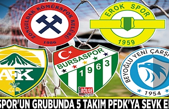 Vanspor'un grubunda 5 takım PFDK'ya sevk edildi