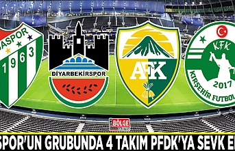 Vanspor'un grubunda 4 takım PFDK'ya sevk edildi