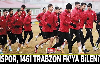 Vanspor, 1461 Trabzon FK'ya bileniyor
